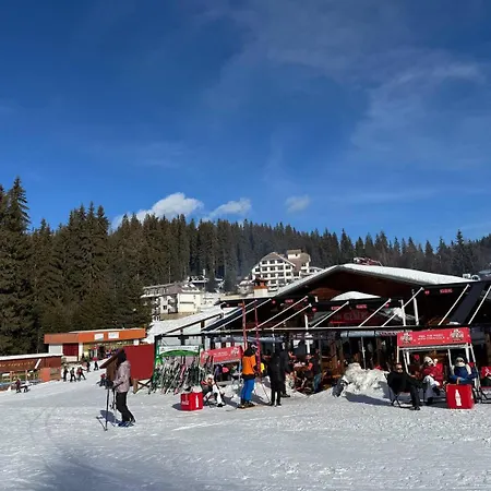 Dream View Family Retreat