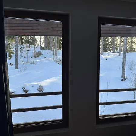 Dream View Family Retreat * Pamporovo